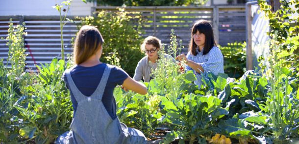 Three women happily plant a garden, illustrating the joy of growing food at home.
