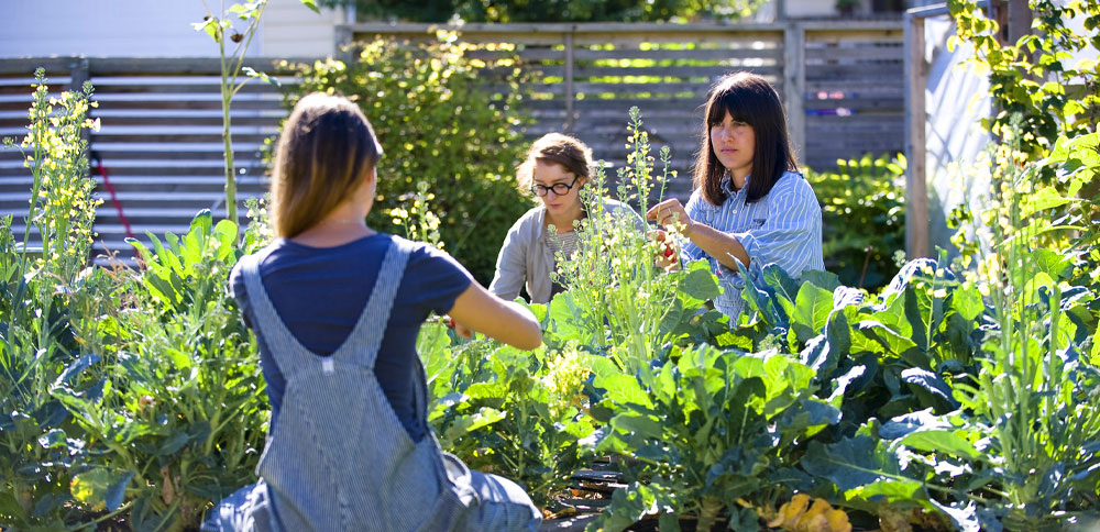 Three women happily plant a garden, illustrating the joy of growing food at home.