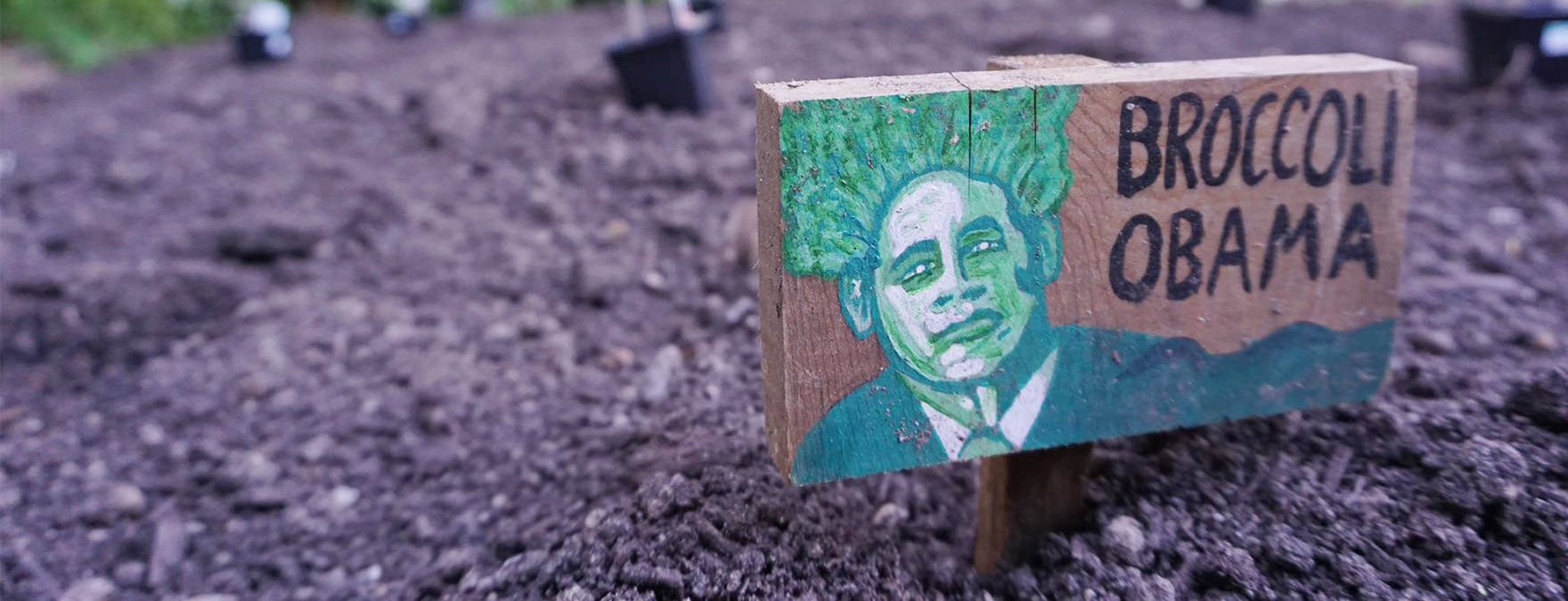 BroccoliObama Good Money by Vancity