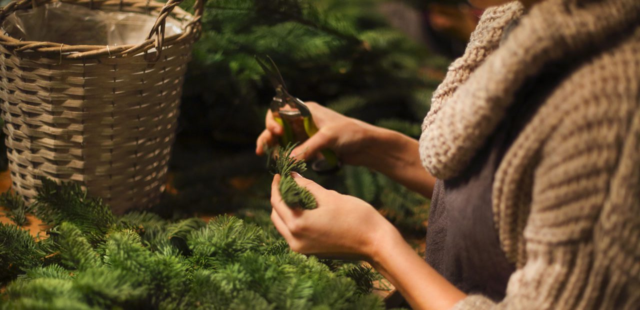 How to sustainable holiday décor Vancity Blog