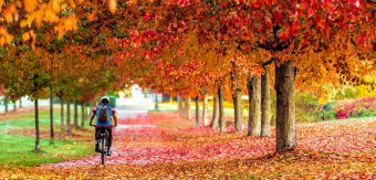 Free and cheap things to do in Metro Vancouver this fall